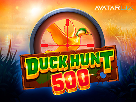 Duck Hunt 500 играть бесплатно