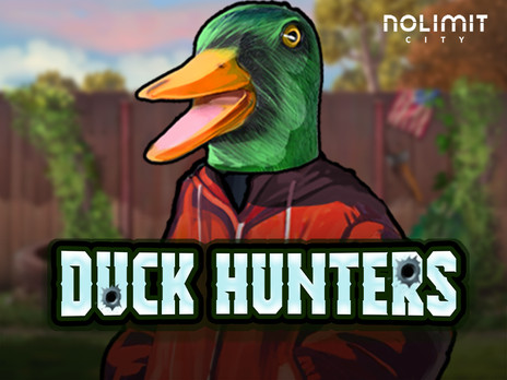 Duck Hunters без регистрации