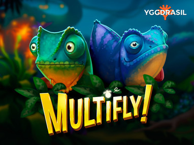 Multifly! играть в демо