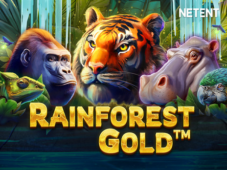 Rainforest Gold слот демо