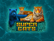 Super Cats демо режим