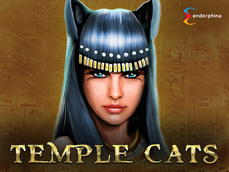 Temple Cats слот в демо режиме
