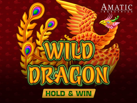 Wild Dragon HOLD&WIN играть в демо
