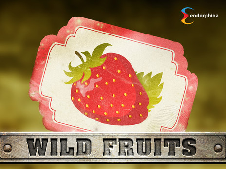 Wild Fruits демо версия слота